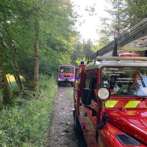 Pompiers-FeuForet