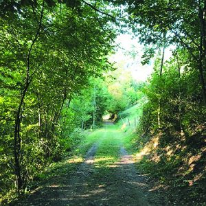 sentier-4